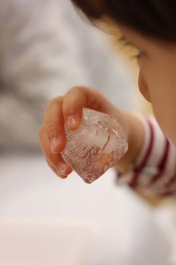 氷の匂いを確かめる子ども