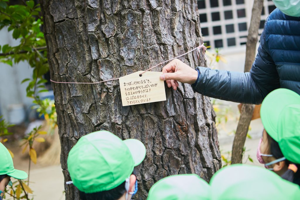 【保育で活用できる木育】子どもと一緒に樹木を調べてみよう
