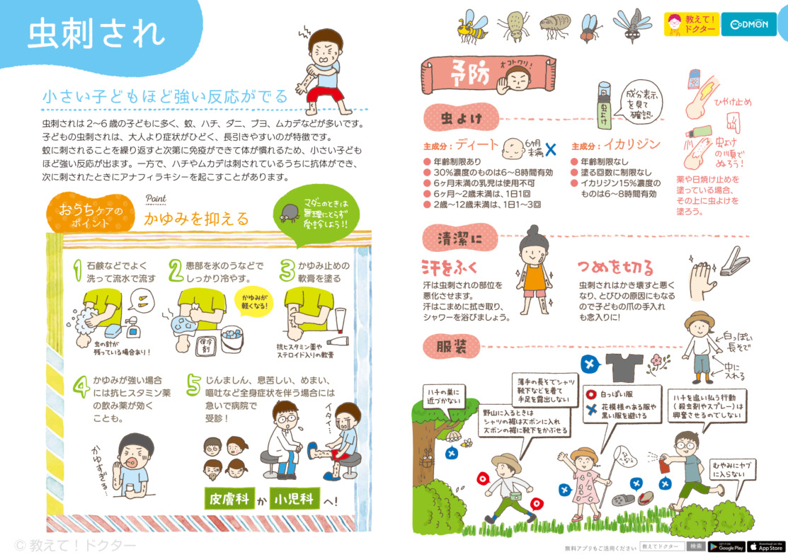 虫刺されに対してアレルギーがある場合の対処法を確認する