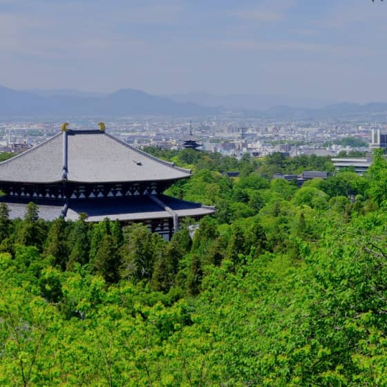 奈良市のイメージ画像